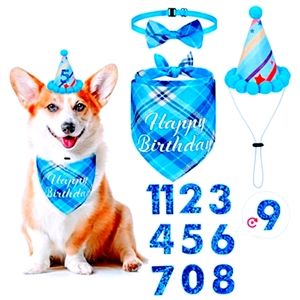 Birthday Clothing for Pets Bowtie Hat Scarf and Interchangeable Numbers Blue